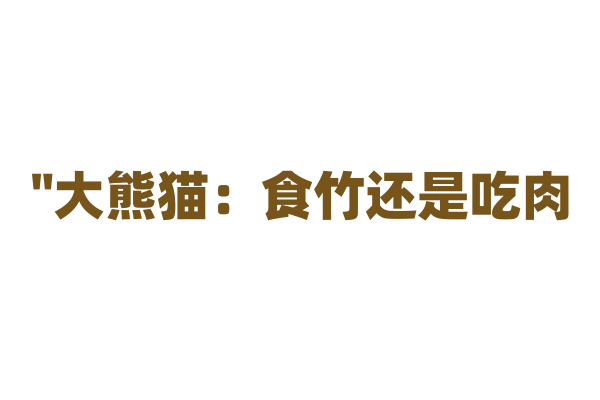 "大熊猫：食竹还是吃肉？真相大公开"